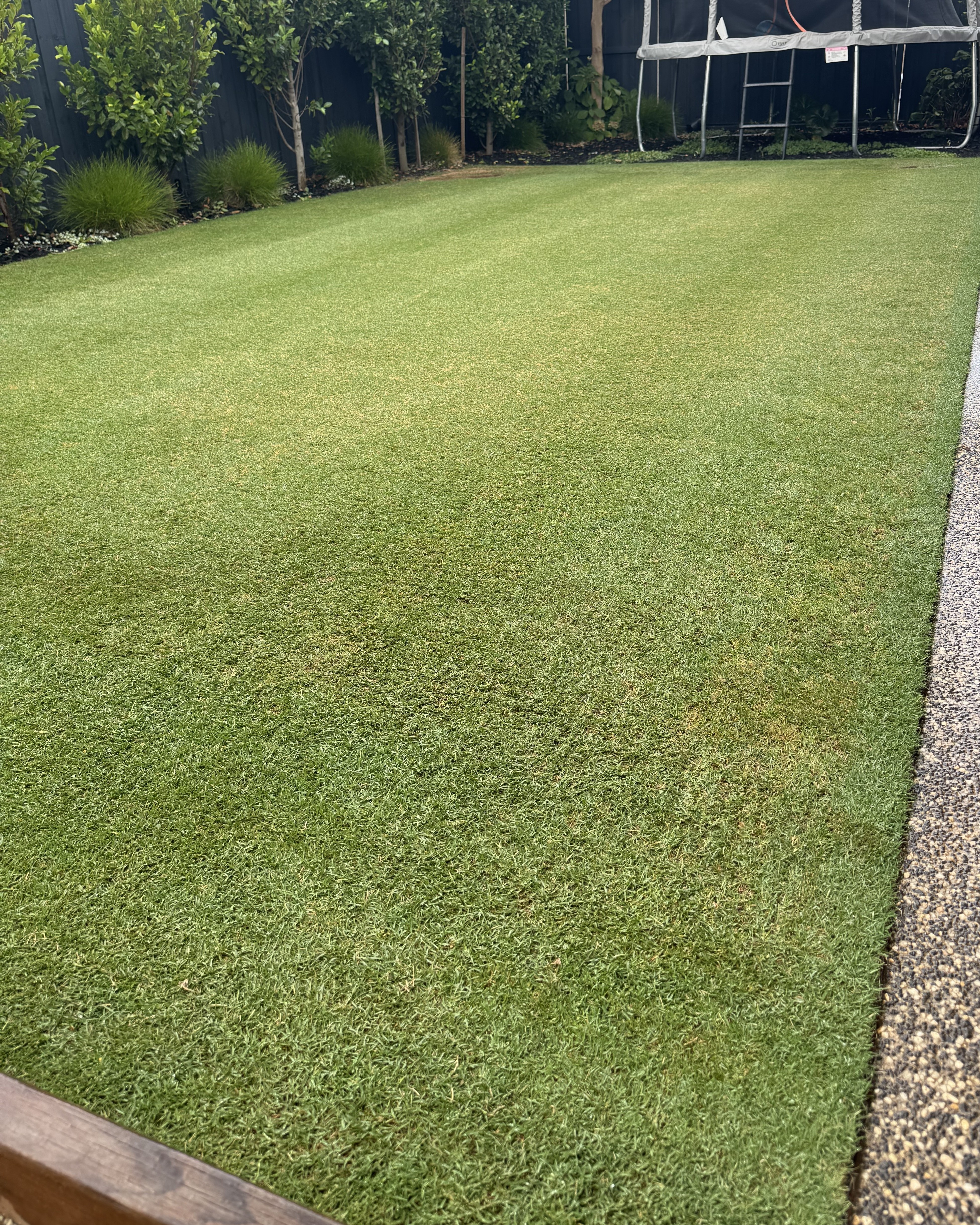 Lawn recovery