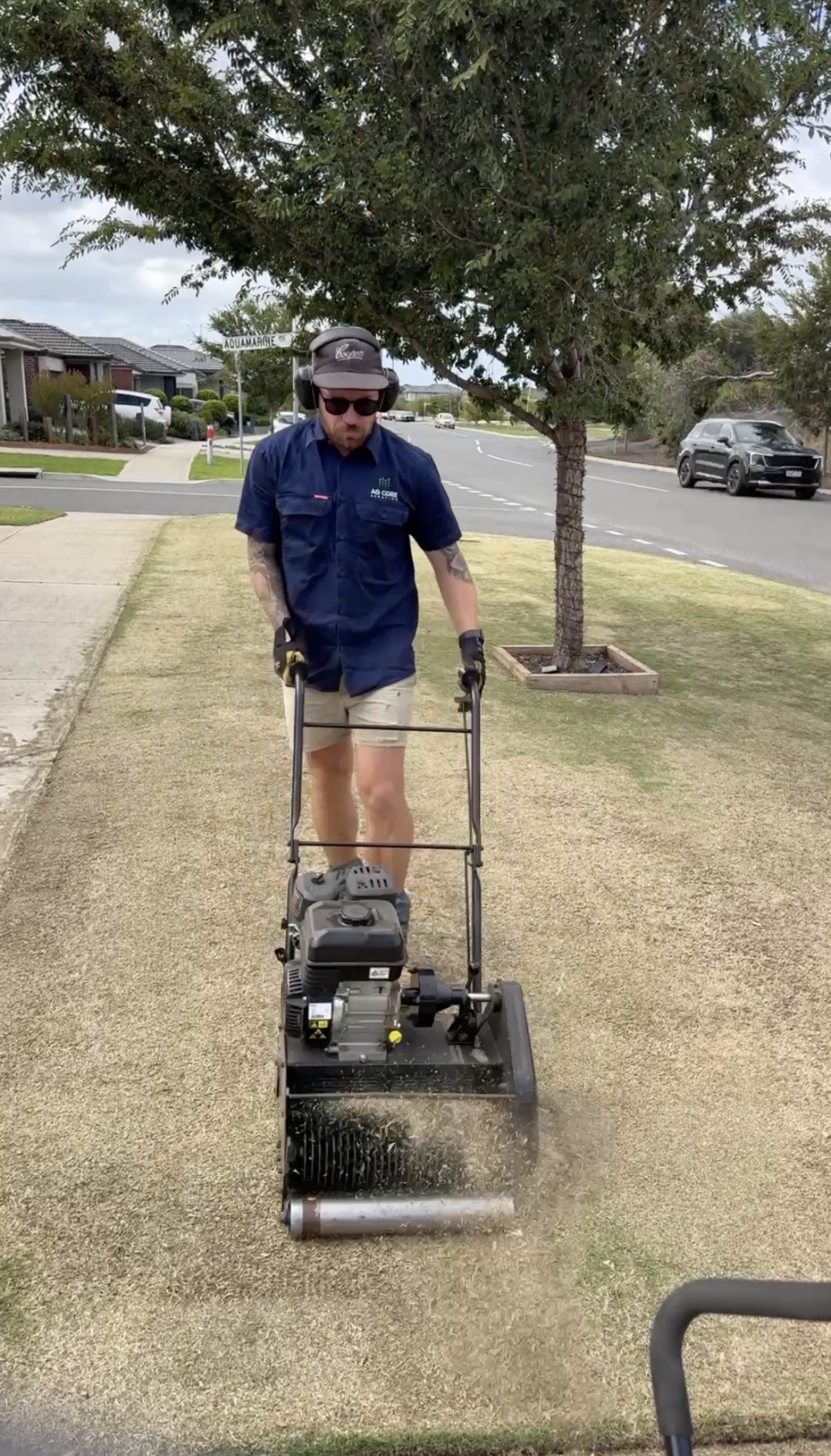 Lawn grooming