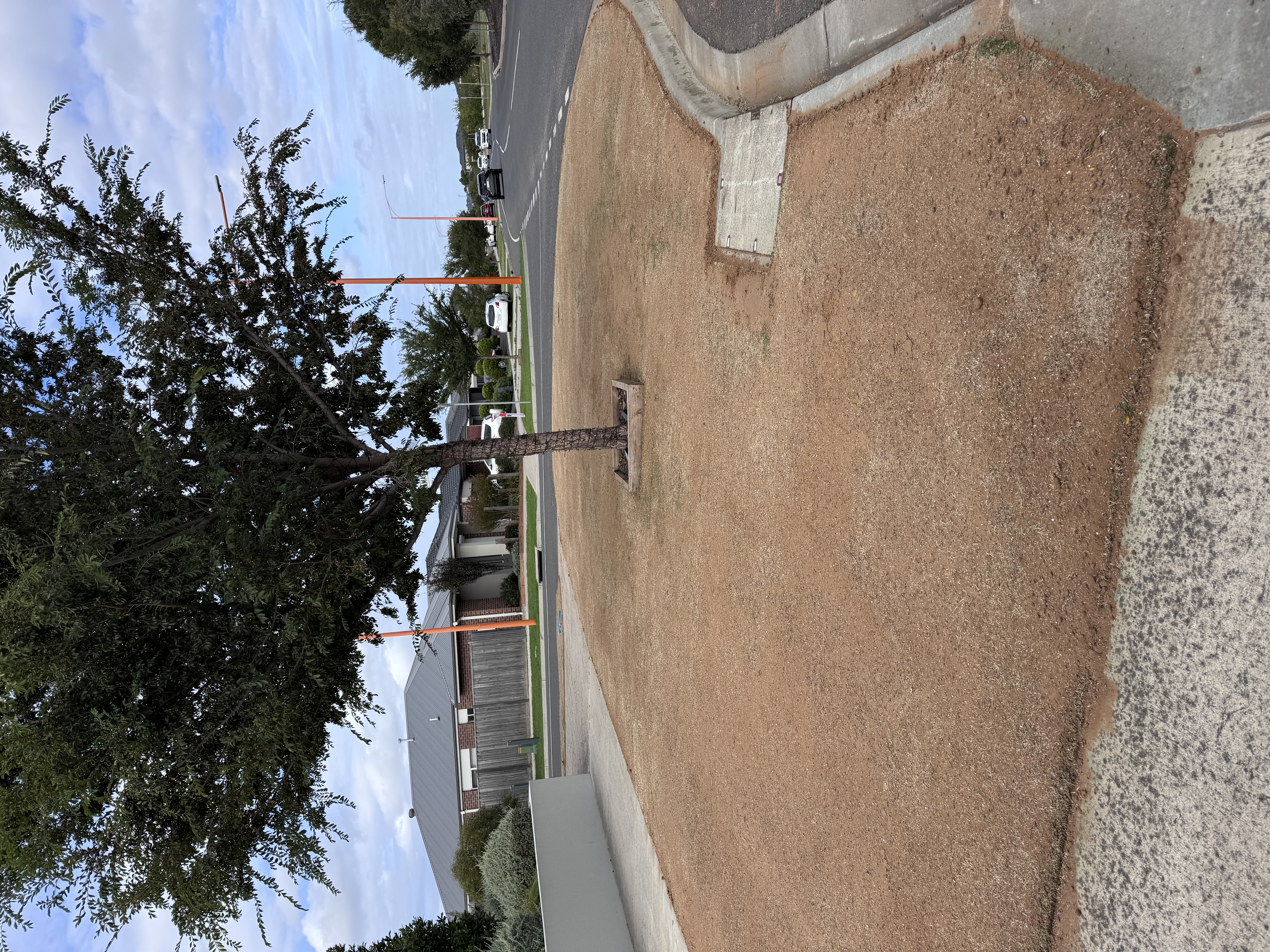 Seed and sand applied